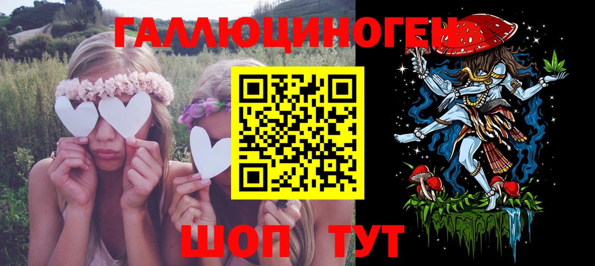 Галлюциногенные грибы Psilocybe Фрязино