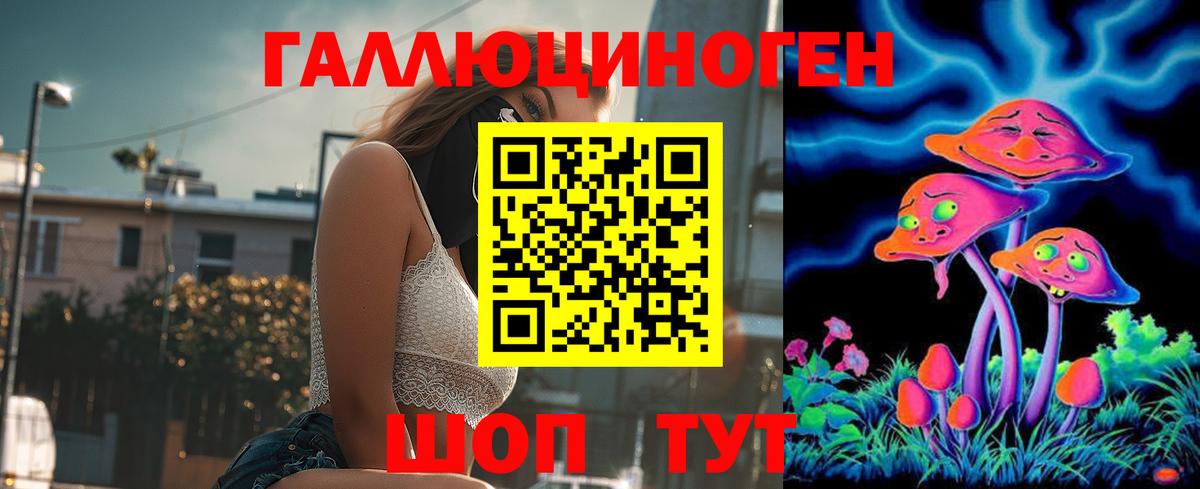 Псилоцибиновые грибы Psilocybe  Вход с VPN  Фрязино 