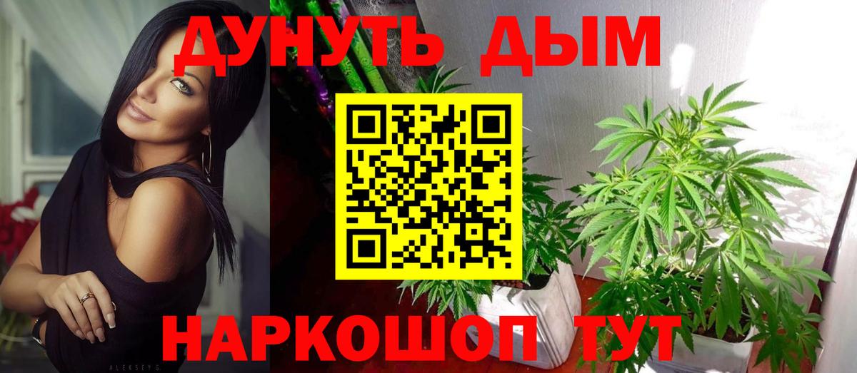 Канабис White Widow  Шишки марихуана планчик  Фрязино  МАРИХУАНА индика  Вход с VPN 